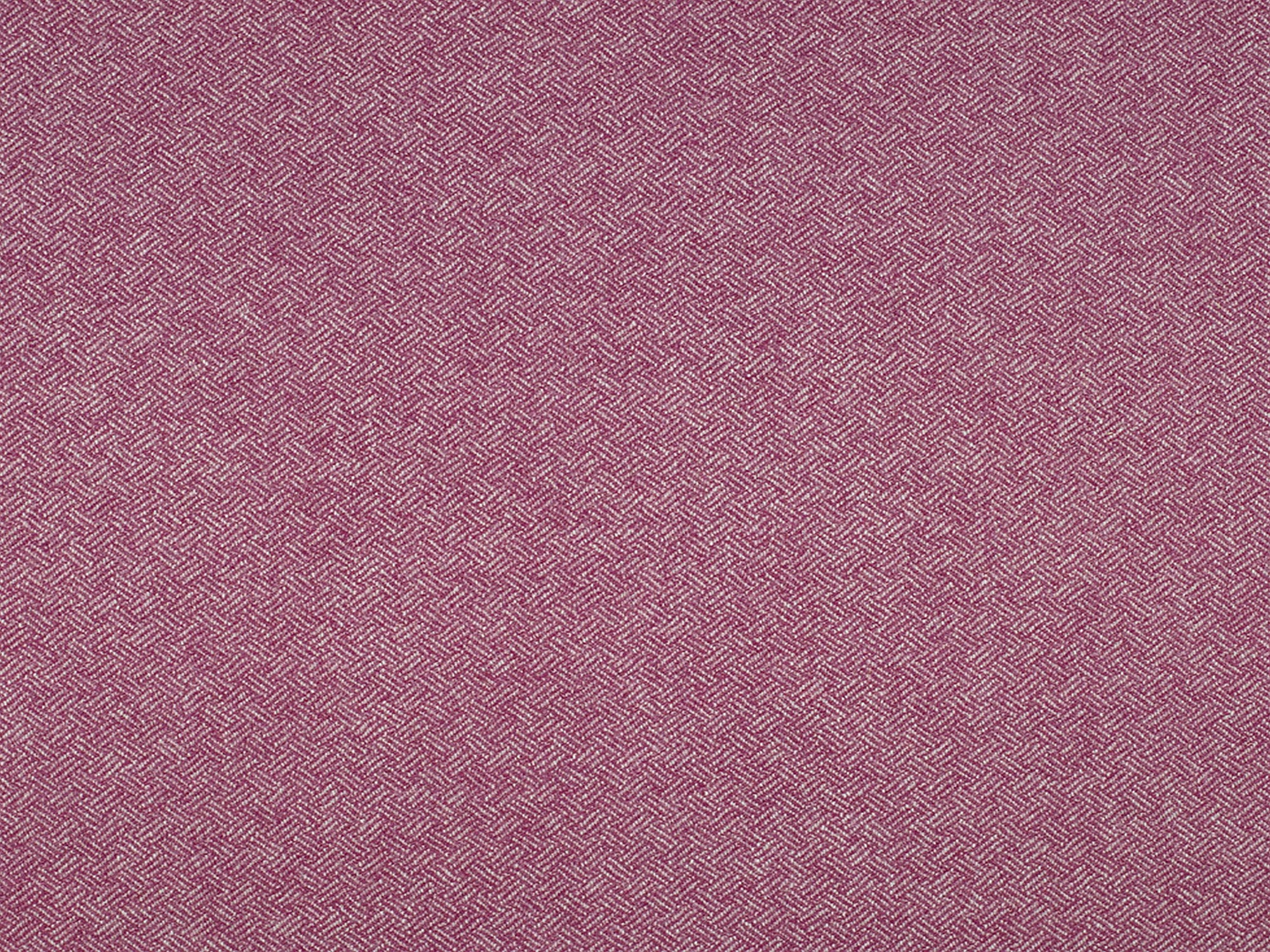 FAA100x138-DPPCNY