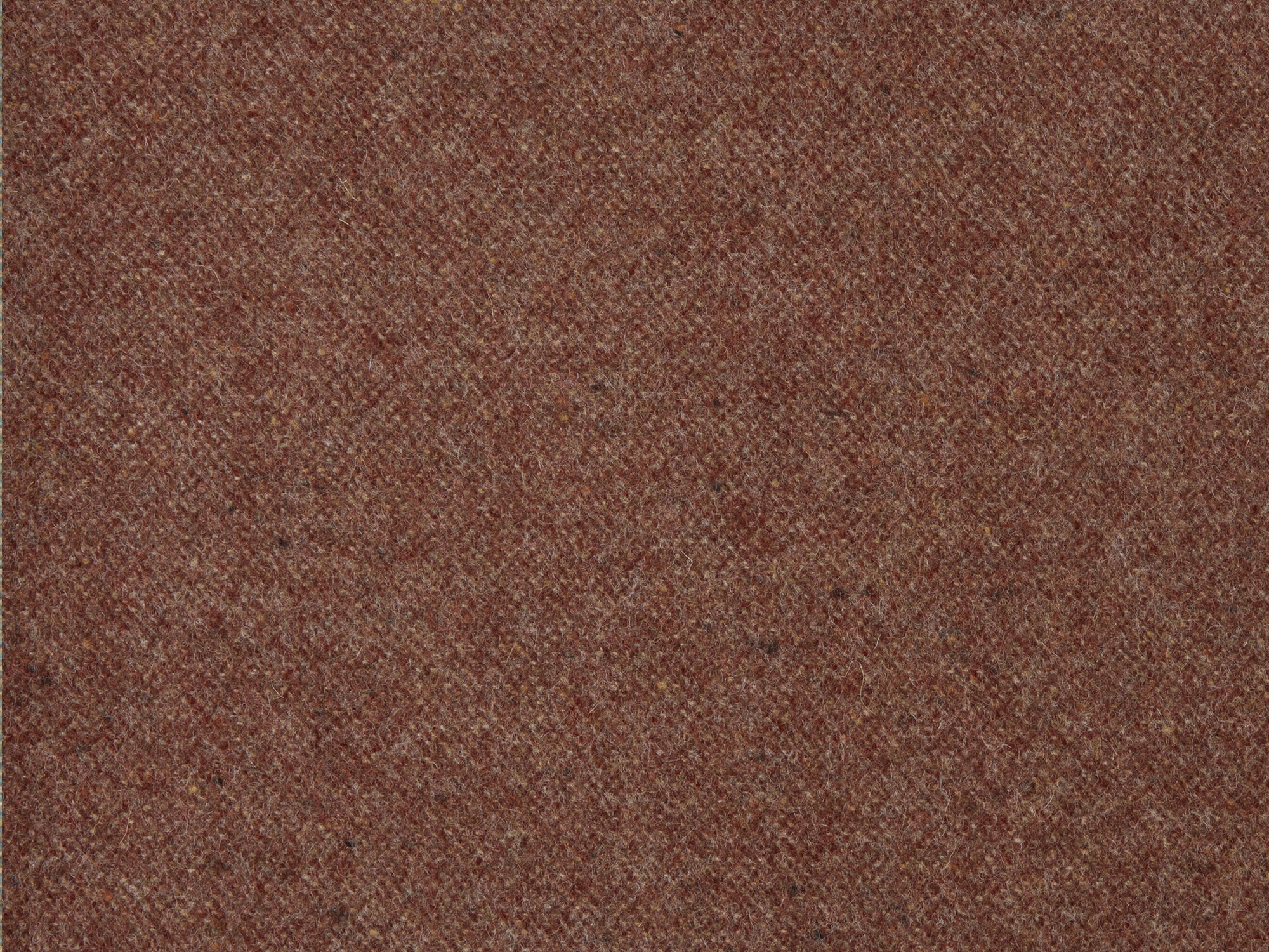 FAA100x138-EDORED