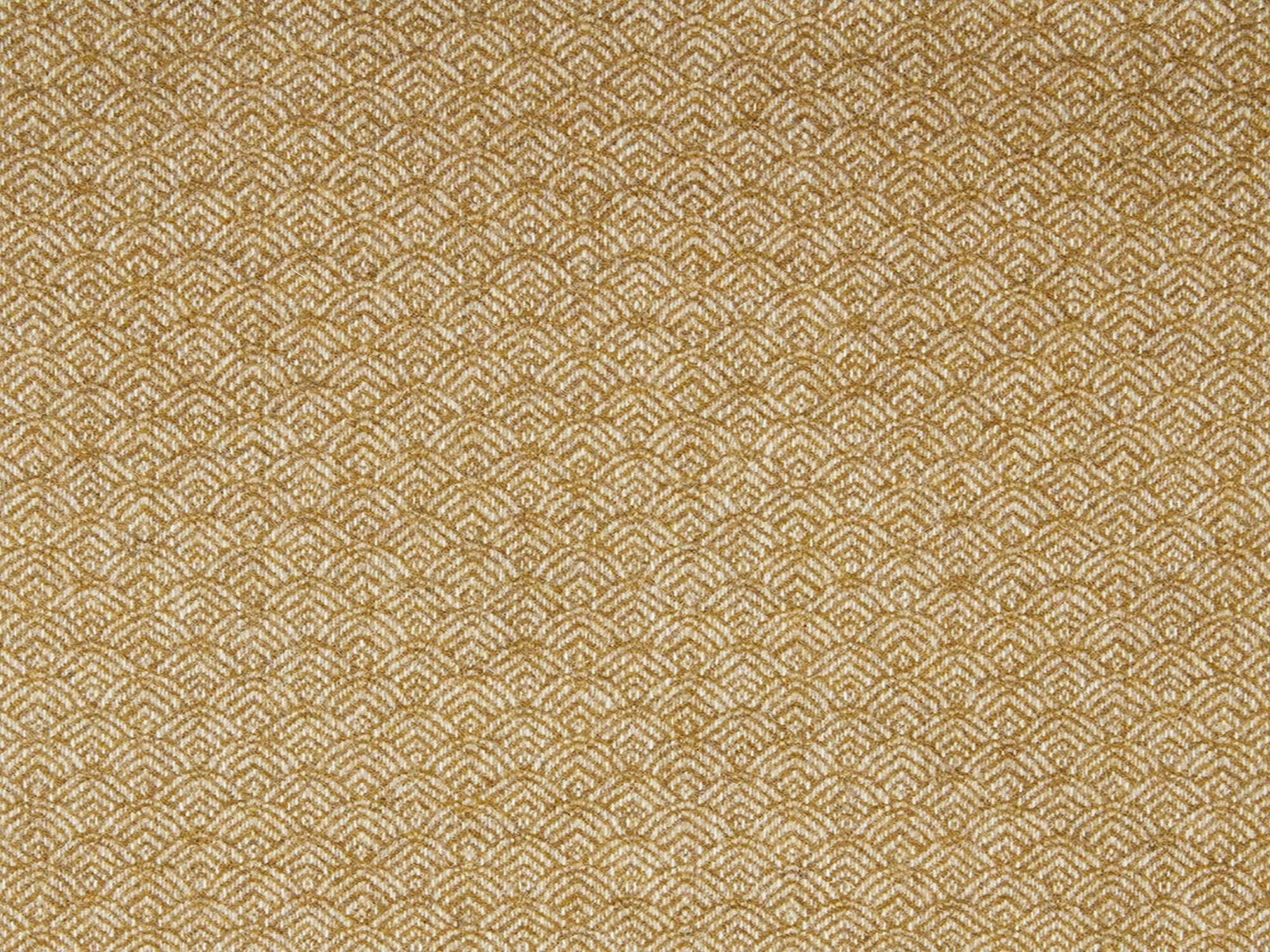 FAA100x138-EIEGOD
